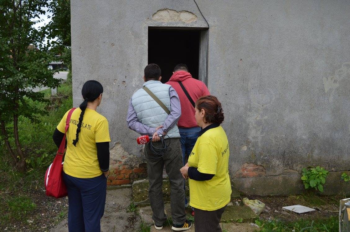 distribucija