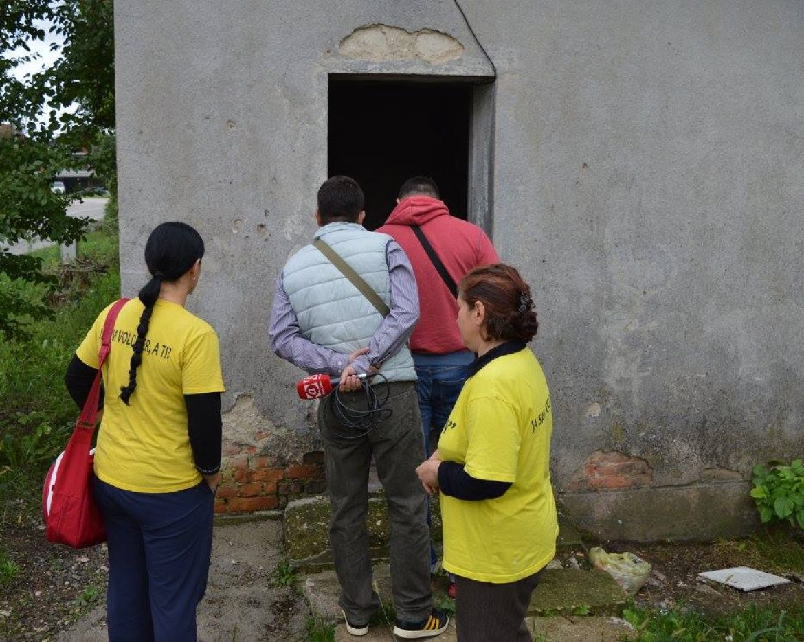 distribucija
